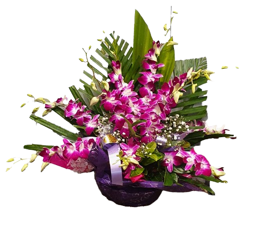 Best in the West Orchid Bowl - Assorted Colours