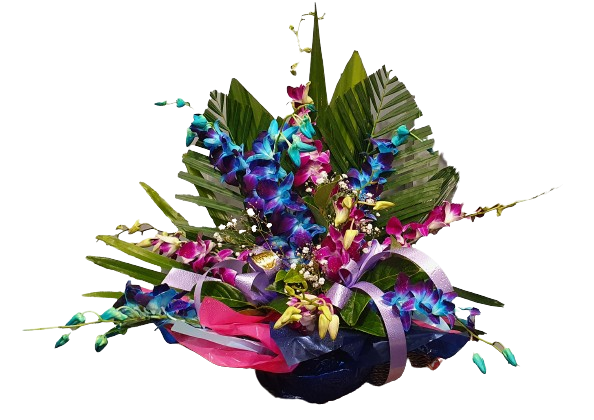 Best in the West Orchid Bowl - Assorted Colours
