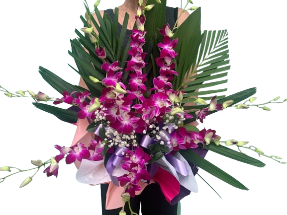 Best in the West Orchid Bowl - Assorted Colours