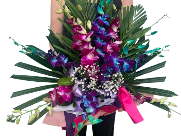Best in the West Orchid Bowl - Assorted Colours