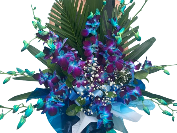 Best in the West Orchid Bowl - Assorted Colours