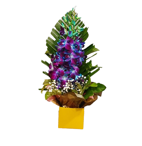 Brilliant Box Arrangement - Orchids