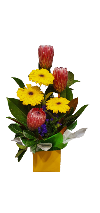Brilliant Box Arrangement - Gerbera & Australian Natives