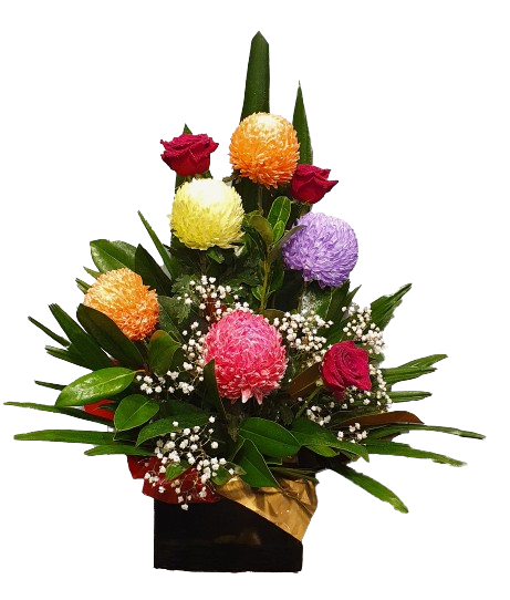 Magnificent box arrangement - Chrysanthemum Magic