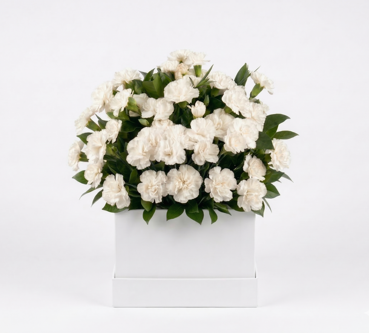 Solace_white-carnations_small box