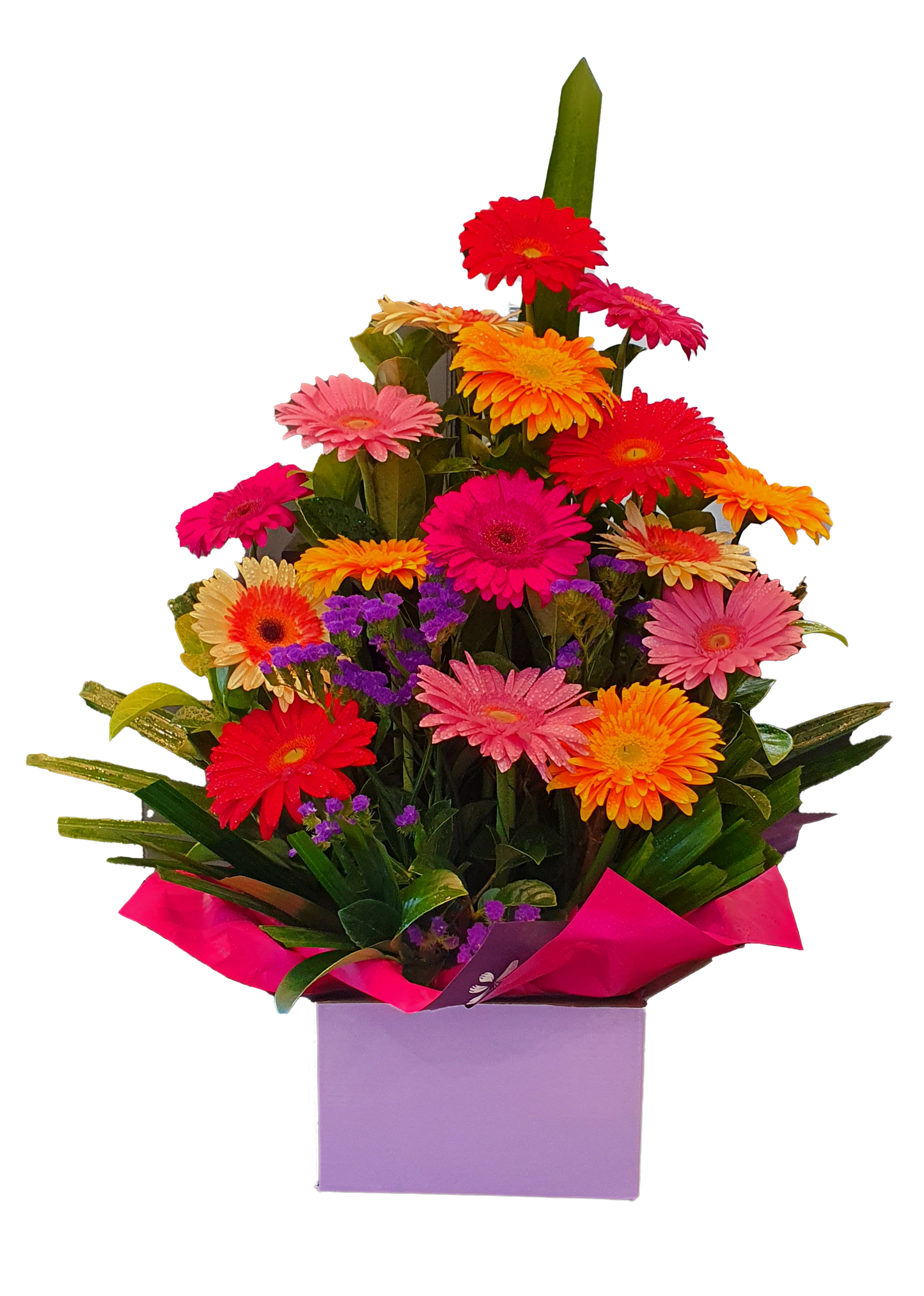 Magnificent box arrangement - Gerbera