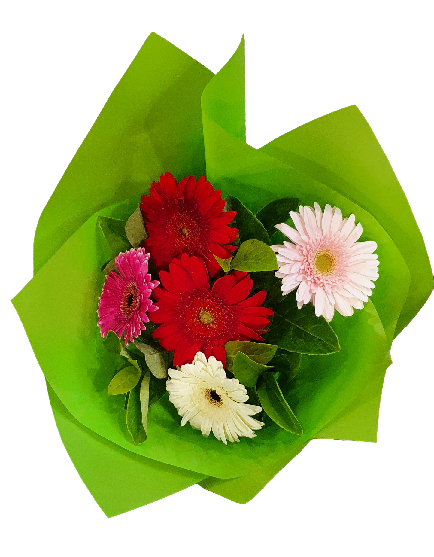 Elegant bouquet - Gerbera x 05 Stems - Assorted Colours