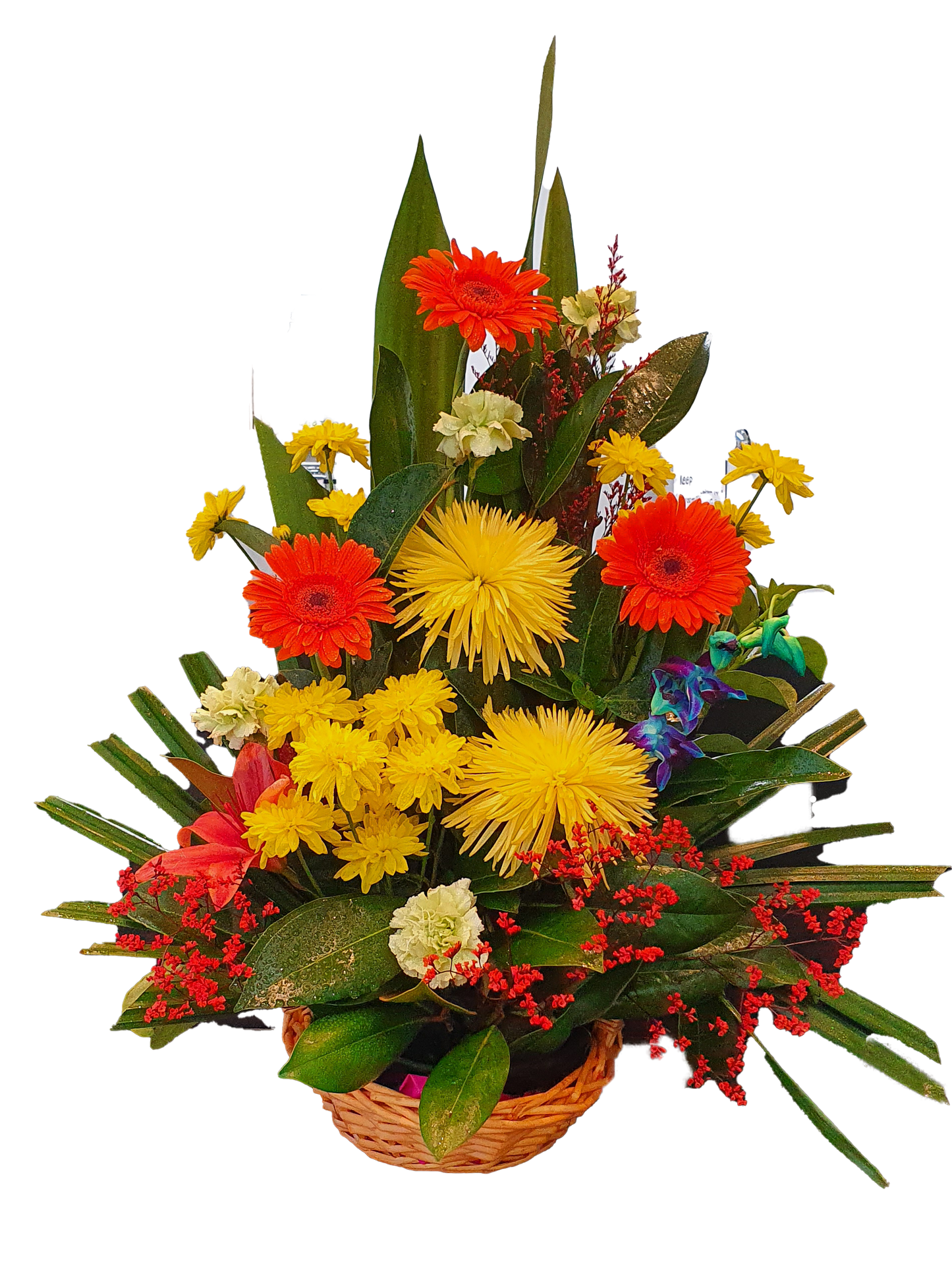 Epic Big Basket Arrangement - Assorted Mixed Flowers