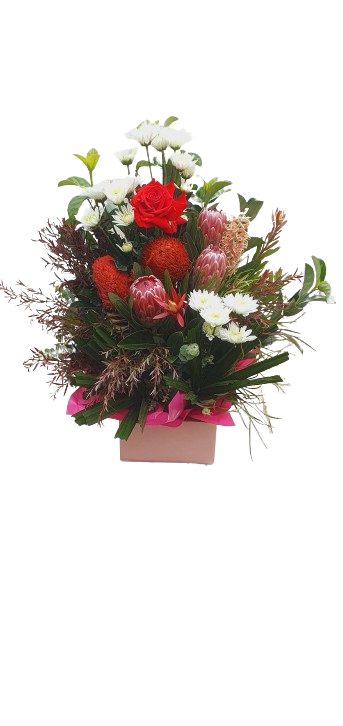 Magnificent box arrangement - Australian Natives