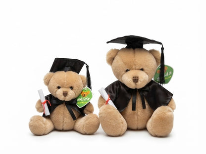 Teddy Bear Collection: Graduation, Boxed Love & Assorted Colors