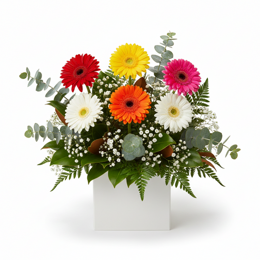 Cheer_SmallBox