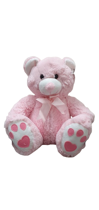 Cuddly Medium Teddy Bear - Baby Girl