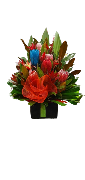 Magnificent box arrangement - Australian Natives