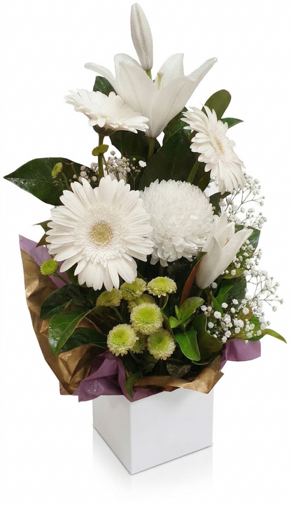 Small Box - Gerbera_Serene-angle