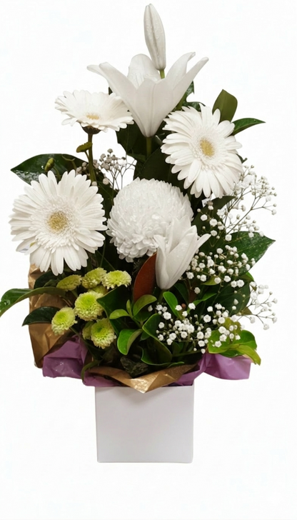 Small_Box_WhiteMix-Gerbera_Serene