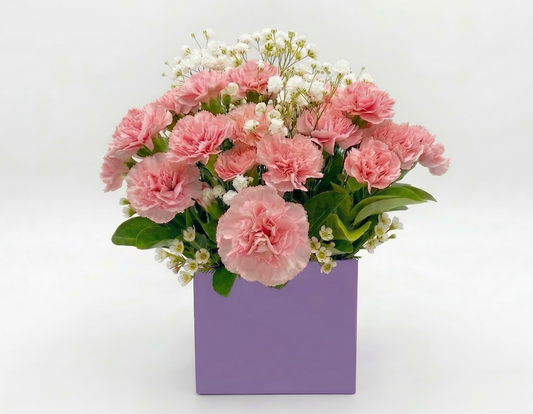 Small_Box_pink_carnation_Flora