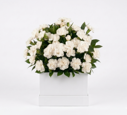 Solace_white-carnations_small box