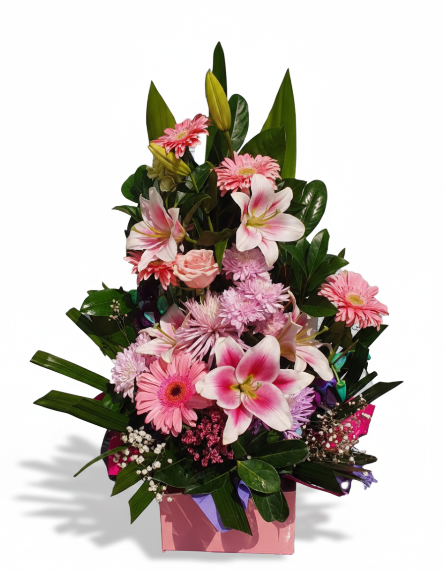 Stella_MixedPinks-BigBox