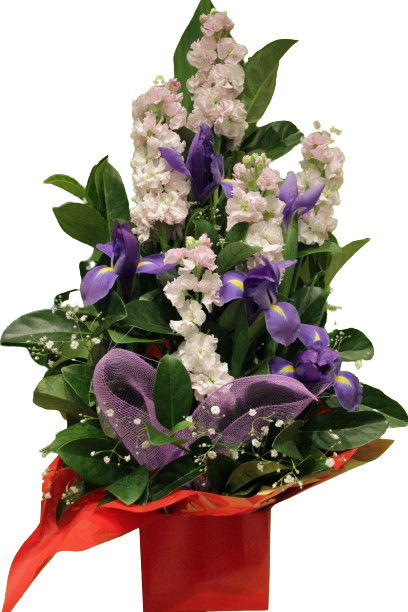 Brilliant Box Arrangement - Assorted Flowers Mix
