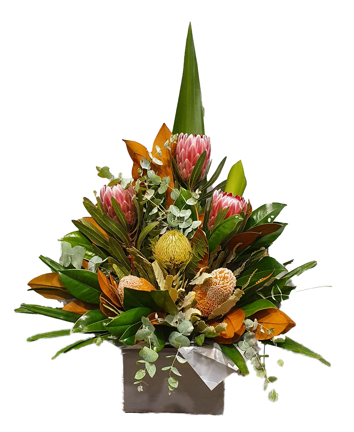 Magnificent box arrangement - Australian Natives