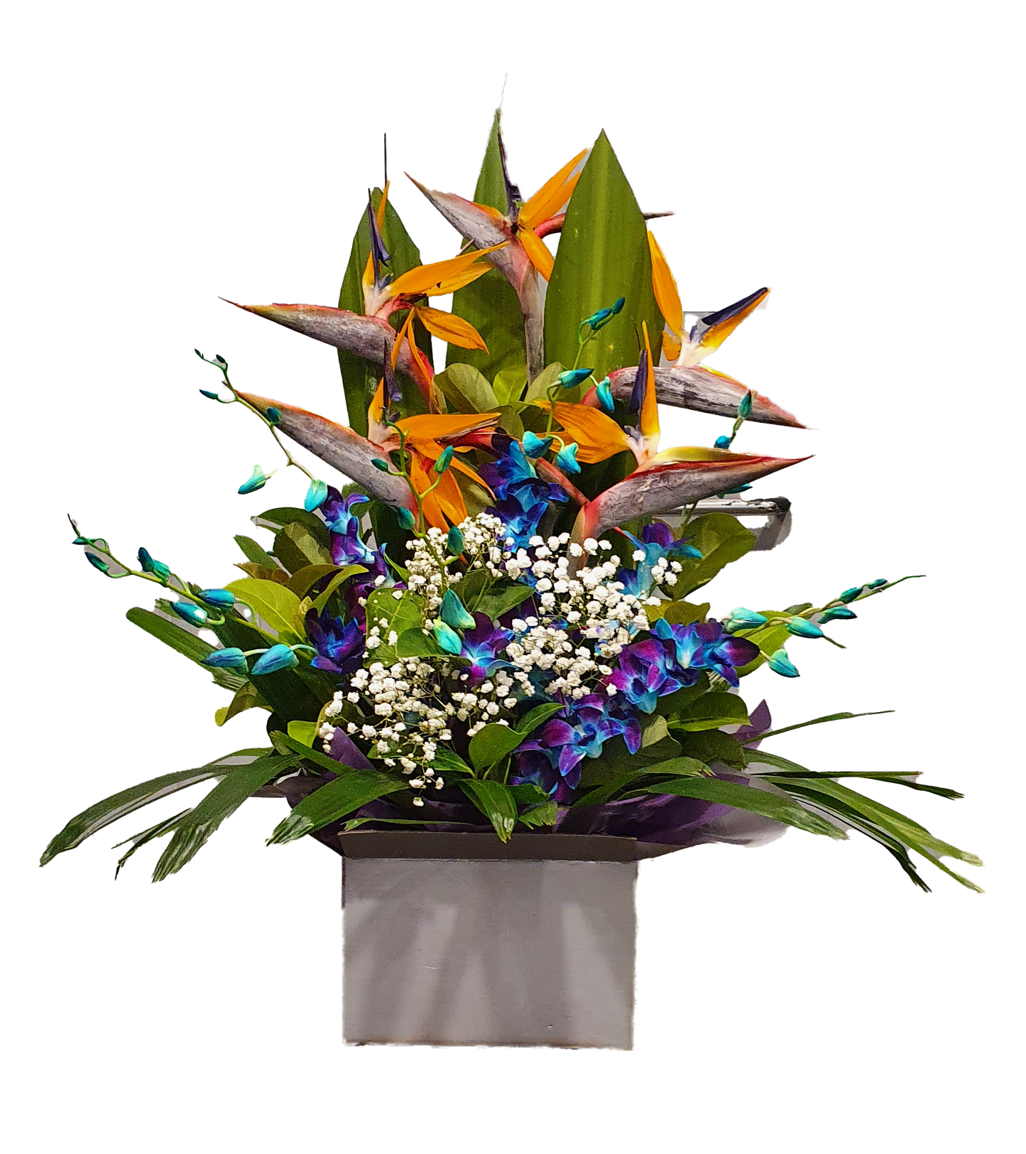 Magnificent box arrangement - Orchids with Birds of Paradise