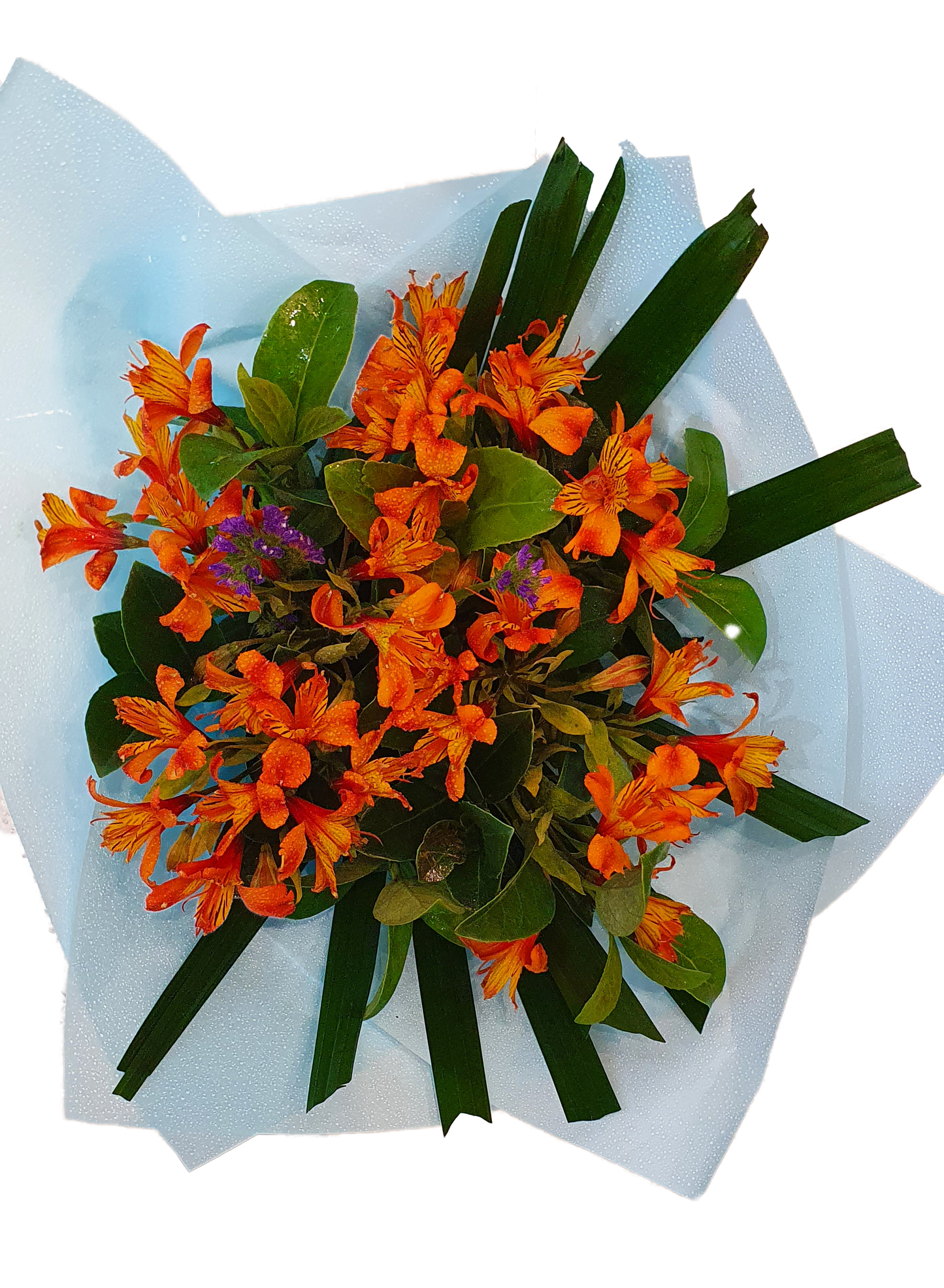 Elegant Bouquet - Alstroemeria - Assorted Colours