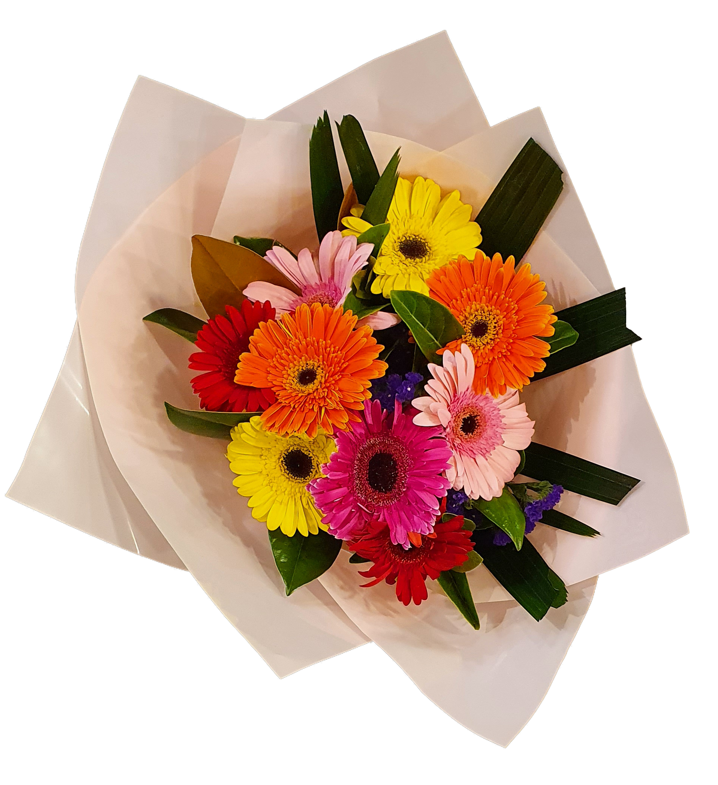 Elegant Bouquet - Gerbera x 09 Stems - Assorted Colours