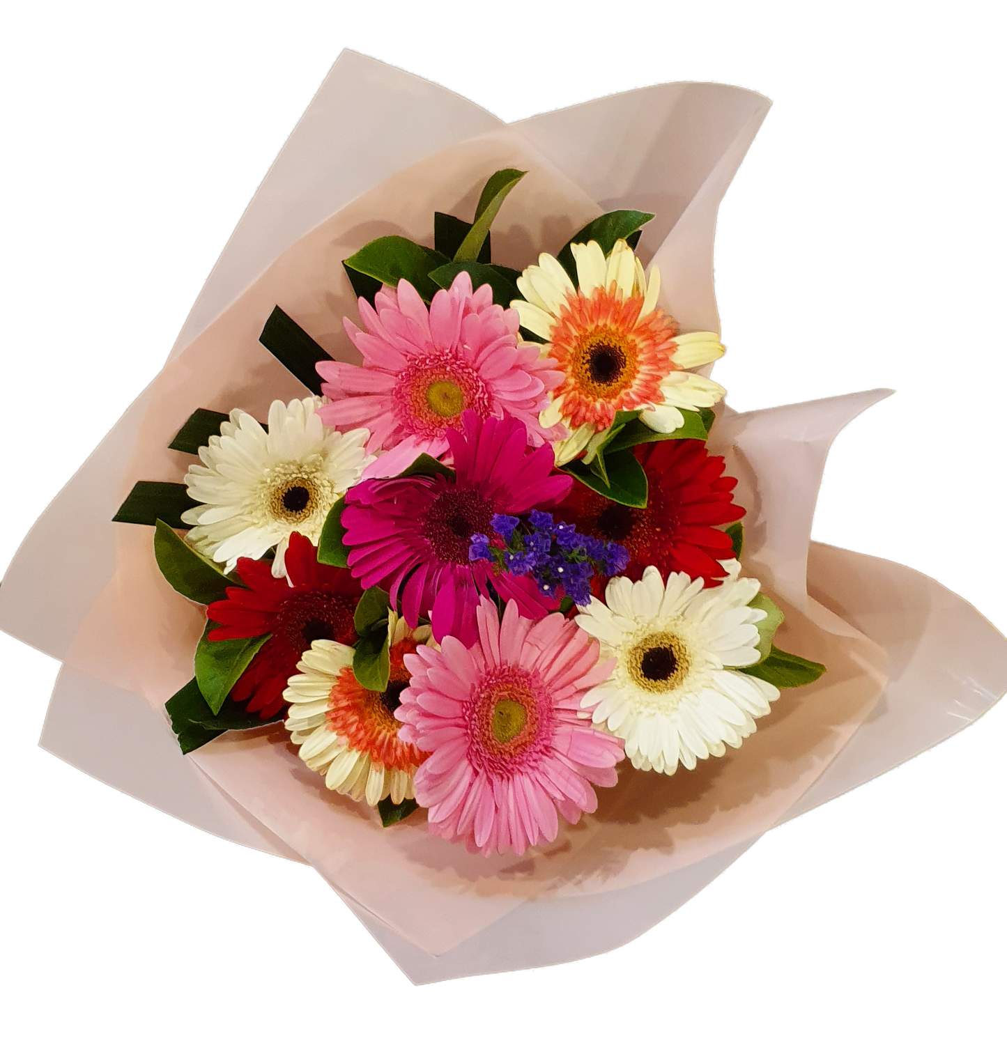 Elegant Bouquet - Gerbera x 09 Stems - Assorted Colours
