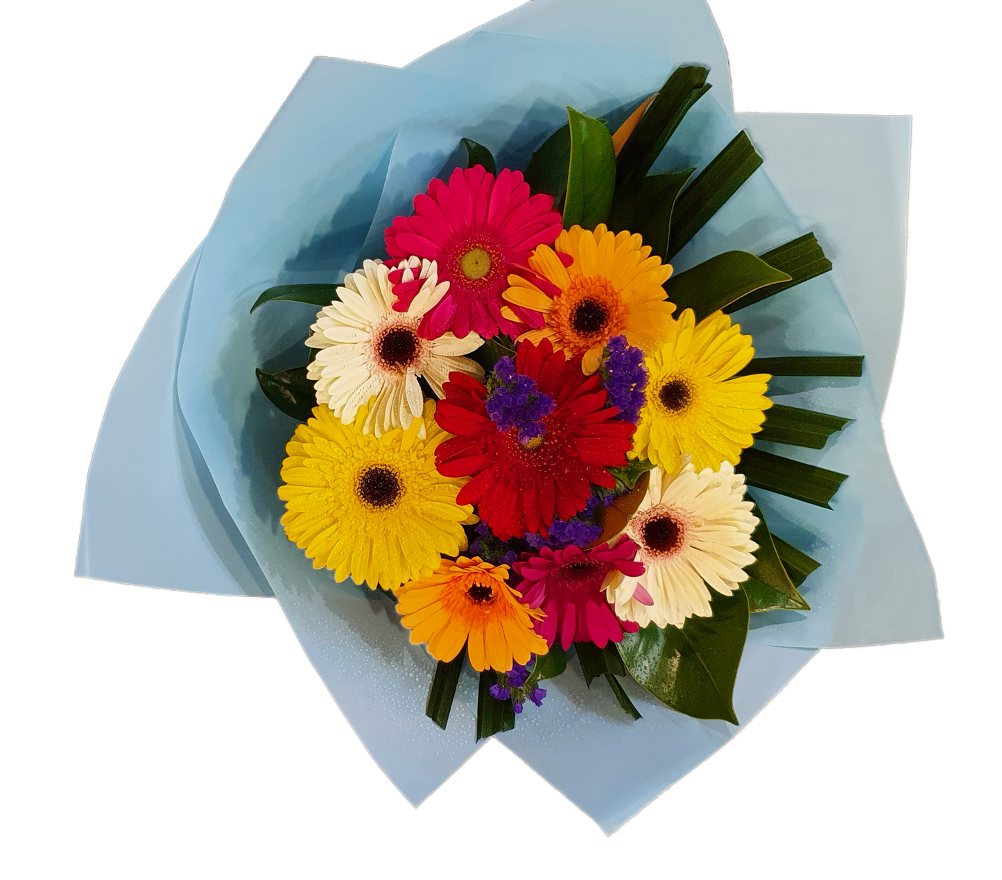 Elegant Bouquet - Gerbera x 09 Stems - Assorted Colours
