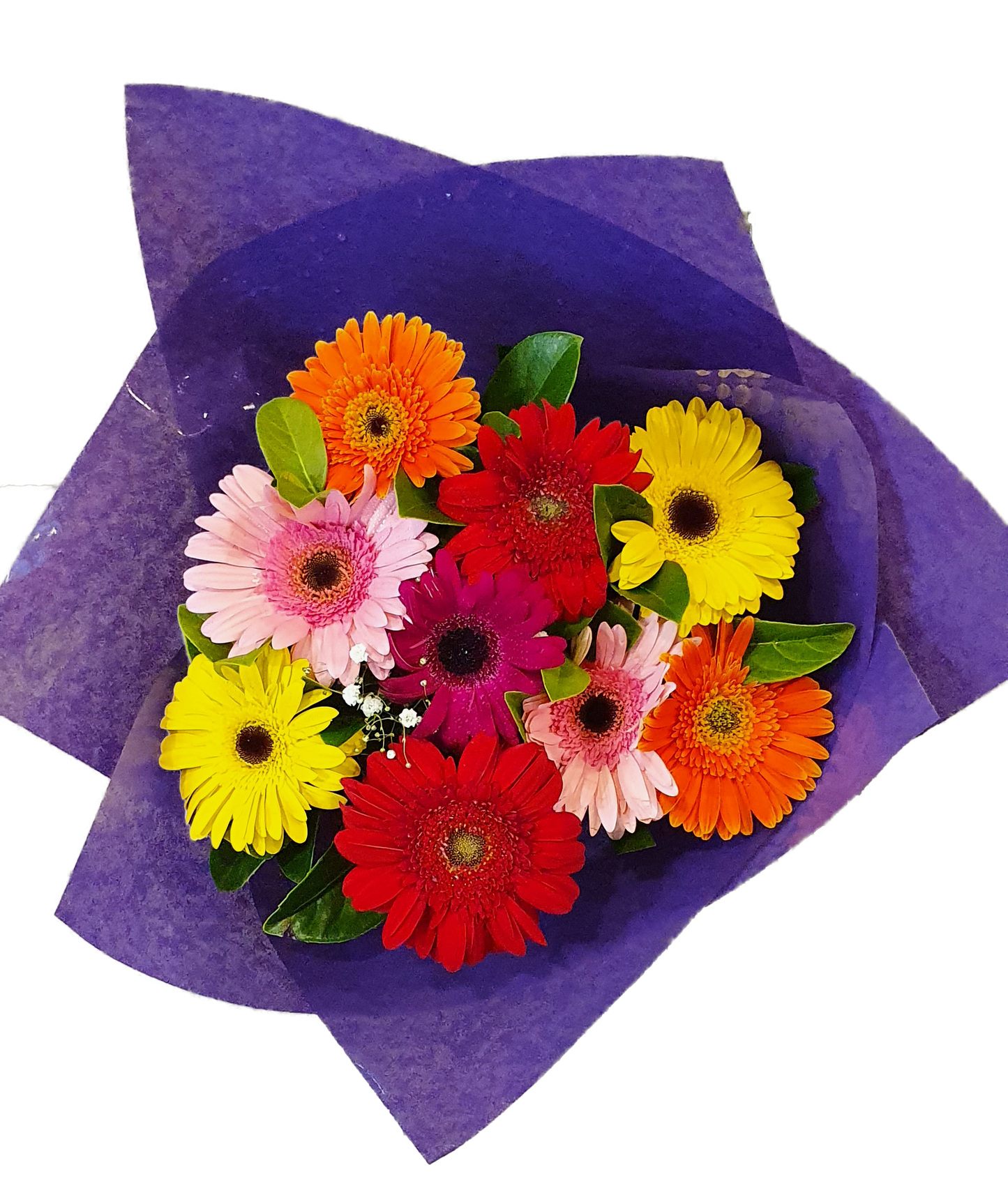 Elegant Bouquet - Gerbera x 09 Stems - Assorted Colours